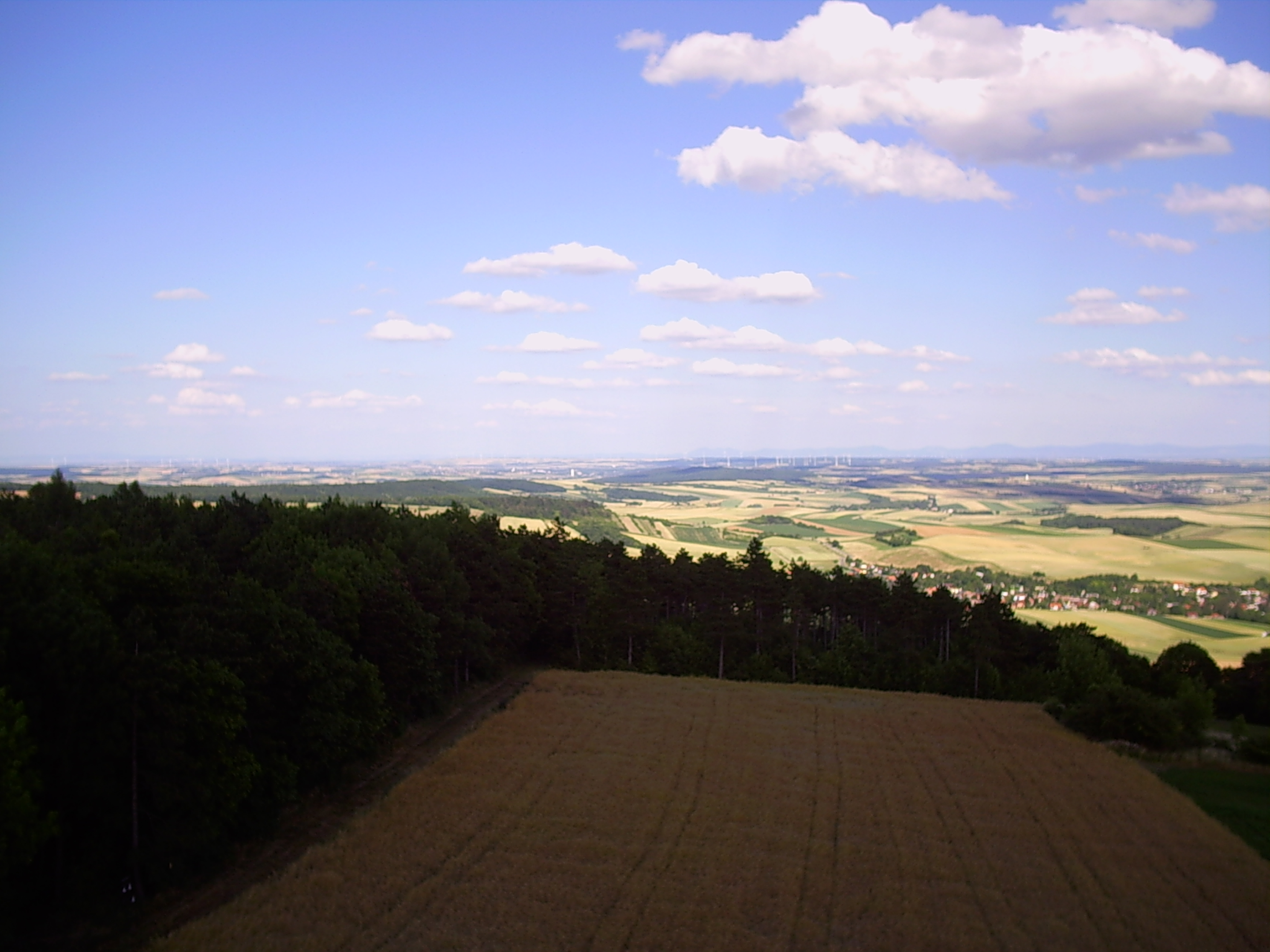 Buschberg